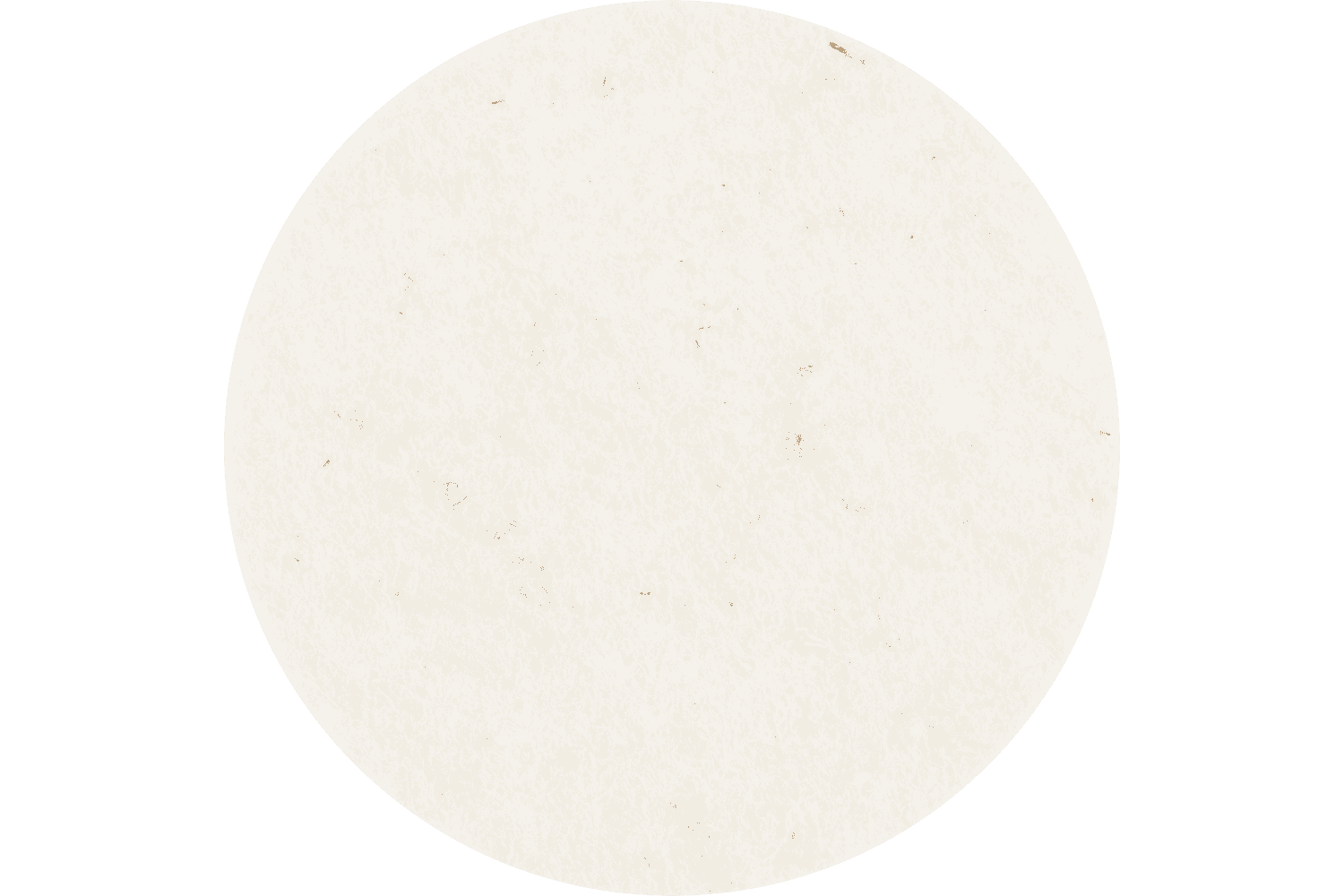 COMBIDISC® Felt Disc, 2" Dia