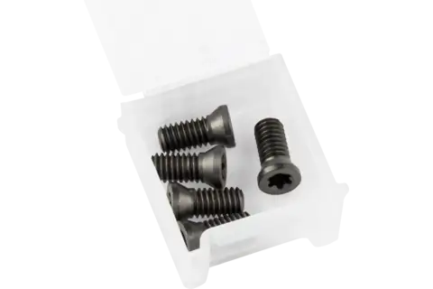 PFERD ALUMASTER Replacement Screw Set M4 - 5 Screws