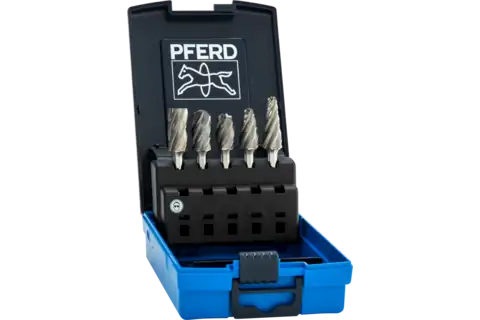 PFERD Carbide Bur Set 5 Piece ALU Cut/Non-ferrous 1/4" Shank Plastic Case